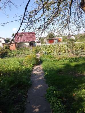 Продается дача Снт Металлист в Курчатове фото 4