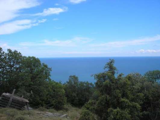 Продается участок в Алупке, Ялтинский район . в Ялте фото 15