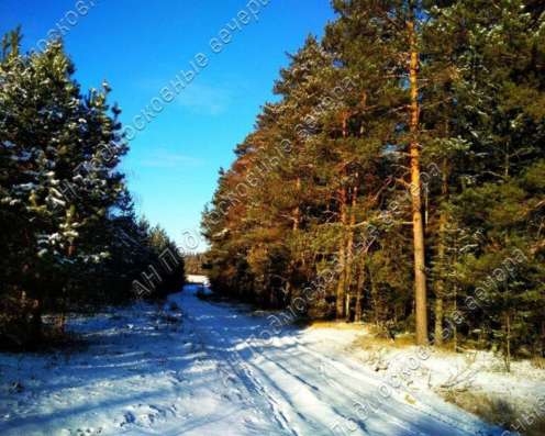 realty_mapper3.plot_in_locationИндивидуальное жилищное ст-во. Площадь 10.00 сот.Есть Электричество. в Москве фото 10