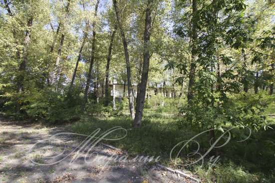 realty_mapper3.plot_in_locationПлощадь 51.69 сот.
