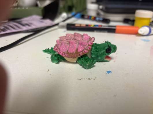 Mini turtle ? в Тюмени