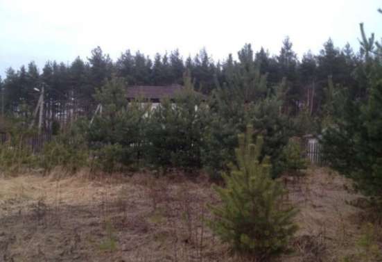 realty_mapper3.plot_in_locationИндивидуальное жилищное ст-во. Площадь 30.00 сот.Есть Электричество.