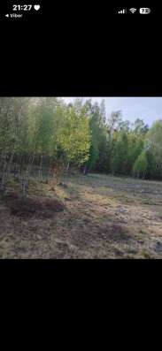 ДОМ В БЕЛАРУСИ фото 3
