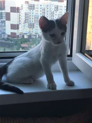 Тимка ищет ответственных родителей в Москве фото 3