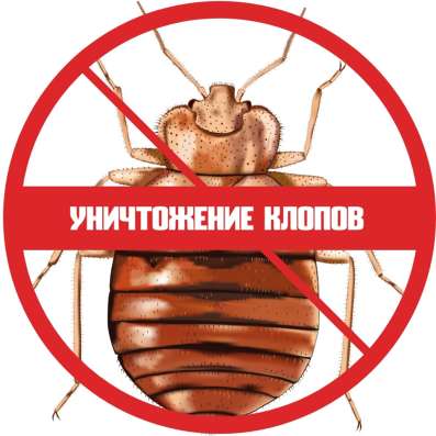 Уничтожение клопов в квартире