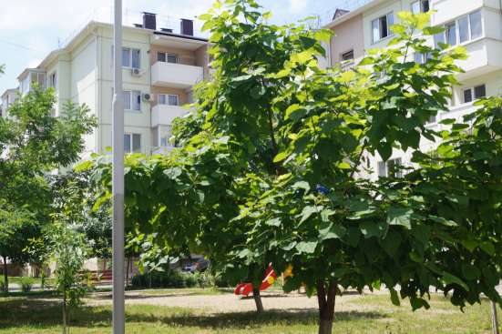 Продам квартиру в Краснодаре фото 8