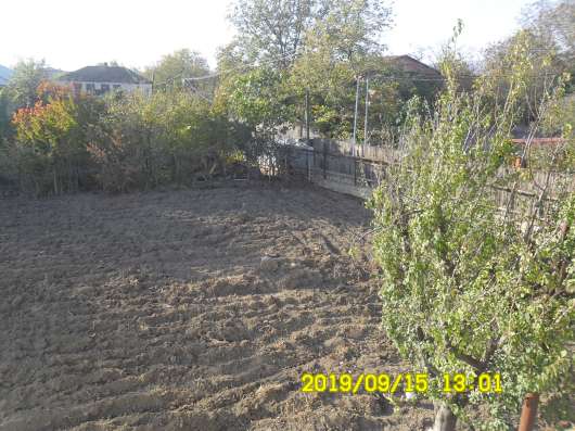 Dacha фото 8