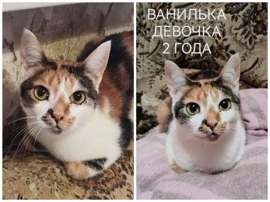 ПОЖАЛУЙСТА, НЕ ПРОХОДИТЕ МИМО!!! фото 3