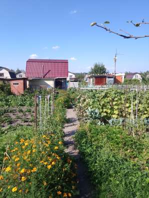Продается дача Снт Металлист в Курчатове фото 3