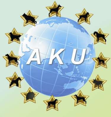 Кинологические услуги