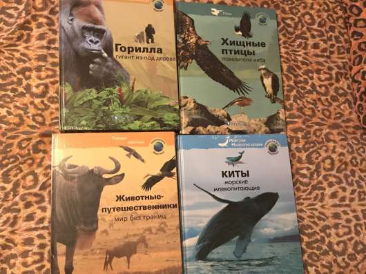 Книги и брошюры для детей в Ивантеевка фото 8