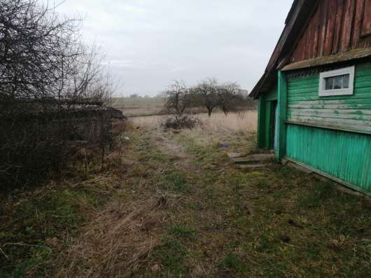 Дом, дача, участок фото 4