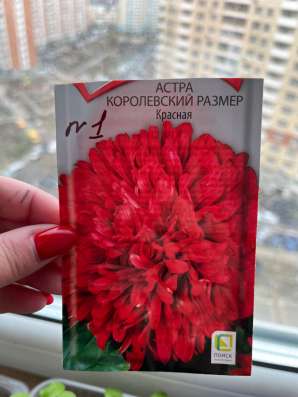 Рассада цветов