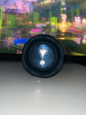 JBL Flip 7 в Гурьевске фото 4