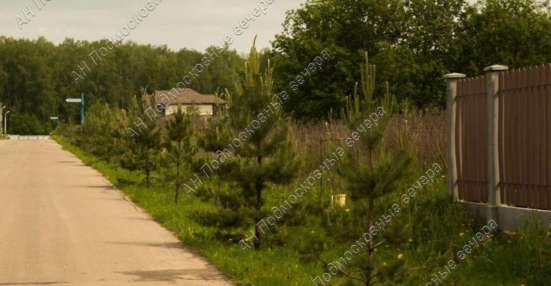 realty_mapper3.plot_in_locationСадовое некоммерческое тов-во. Площадь 36.70 сот.Есть Электричество. в Москве фото 15