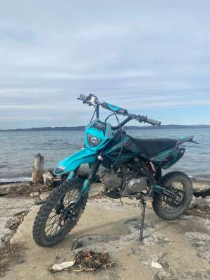 Питбайк RegulMoto Seven Medalist Pro в Большом Камне фото 3
