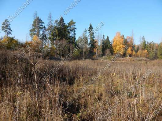 realty_mapper3.plot_in_locationСадовое некоммерческое тов-во. Площадь 10.00 сот.Есть Электричество. в Москве фото 7