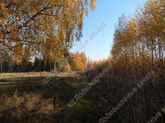 realty_mapper3.plot_in_locationСадовое некоммерческое тов-во. Площадь 10.00 сот.Есть Электричество.