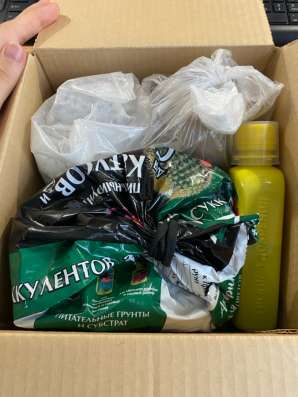 Набор для кактусов