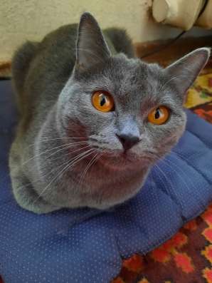 Латок на 5+