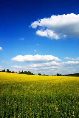 Продажа земельного участка