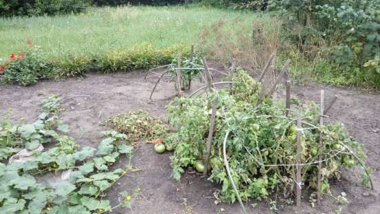 Продам 1/4 дома в Россоши фото 8