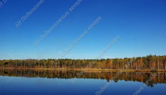 realty_mapper3.plot_in_locationИндивидуальное жилищное ст-во. Площадь 10.00 сот.Есть Электричество. в Москве фото 3