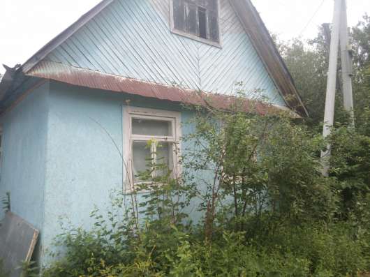 Сад в СНТ ОТДЫХ