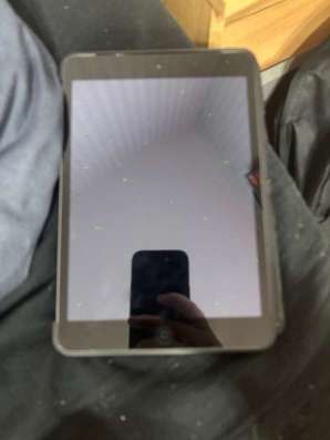 iPad mini 2
