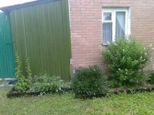 Продам дом в Воскресенске. Жилая площадь 25 кв.м.