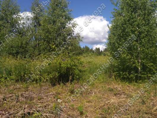 realty_mapper3.plot_in_locationСадовое некоммерческое тов-во. Площадь 12.54 сот.Есть Электричество. в Москве фото 4