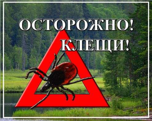 Уничтожение клещей