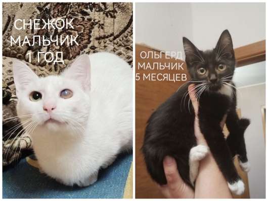 ПОЖАЛУЙСТА, НЕ ПРОХОДИТЕ МИМО!!! фото 4