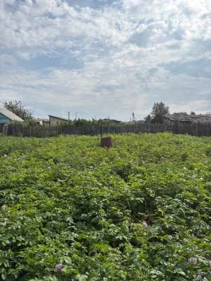 Продам дом в Канске фото 4