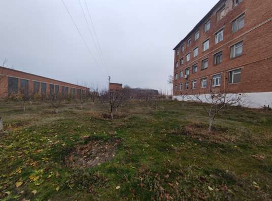 База на берегу Волги в Саратове фото 4