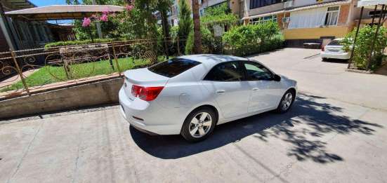 MALIBU 1/1. $13,300