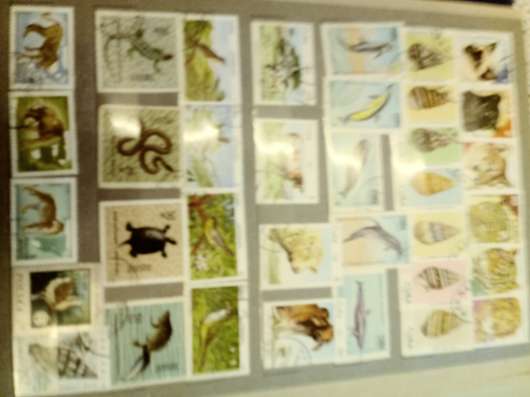 Продам коллекцию марок животный мир. Соц страны в Москве фото 3