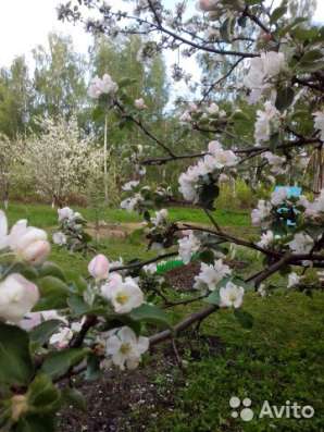 Продам дачу в Костроме фото 9