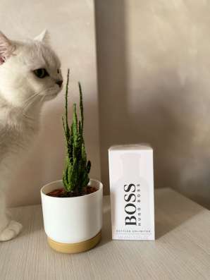 Hugo boss bottled unlimited в Сочи