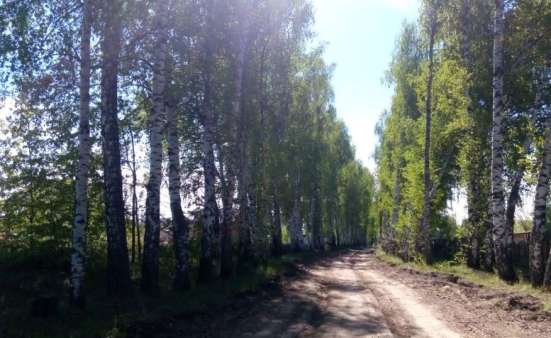 Участок 10 сот. (СНТ, ДНП) в Казани фото 3