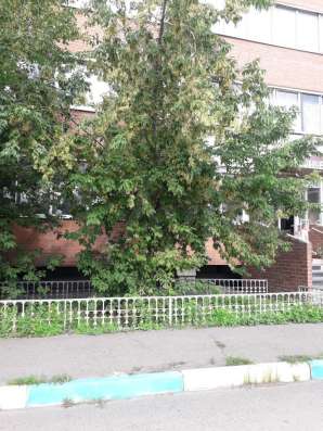 Офисное помещение, 89 м² в Красноярске
