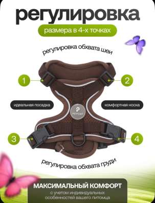 Шлейка для собак
