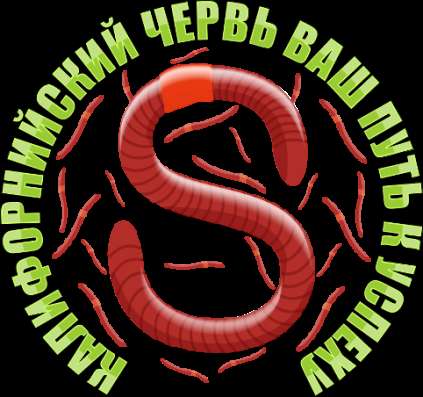 Продажа червей