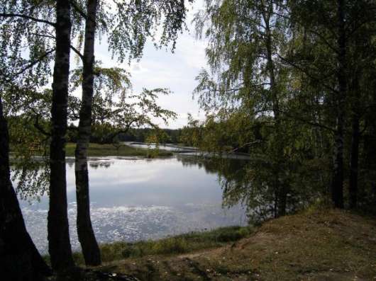 Продажа земли у Рыбинского водохранилища! в Ярославле фото 3