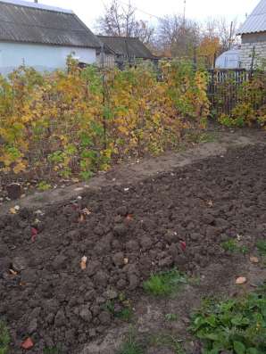 Продам дачу в Камышине фото 6