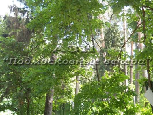 realty_mapper3.plot_in_locationПлощадь 286.00 сот.Есть Электричество, Водопровод.
