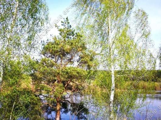 realty_mapper3.plot_in_locationСадовое некоммерческое тов-во. Площадь 8.00 сот.Есть Электричество. в Павловском Посаде фото 9