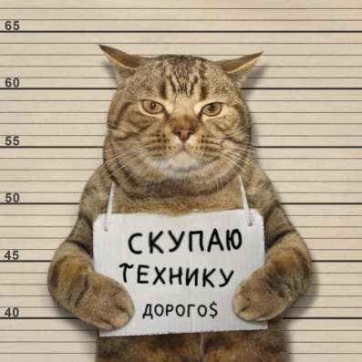 Куплю ноутбуки или ПК