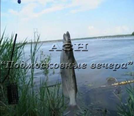 Продам дом в Шатура.Жилая площадь 73  кв.м.Есть Электричество. в Шатуре фото 3