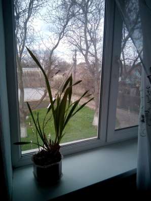 Продам квартиру в Джанкое